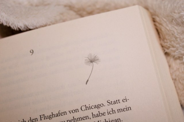 2018-08-16 07.08.43 1.jpg