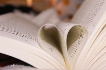 2018-12-19 11.35.27 2.jpg