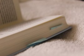 2019-01-06 12.02.10 1.jpg