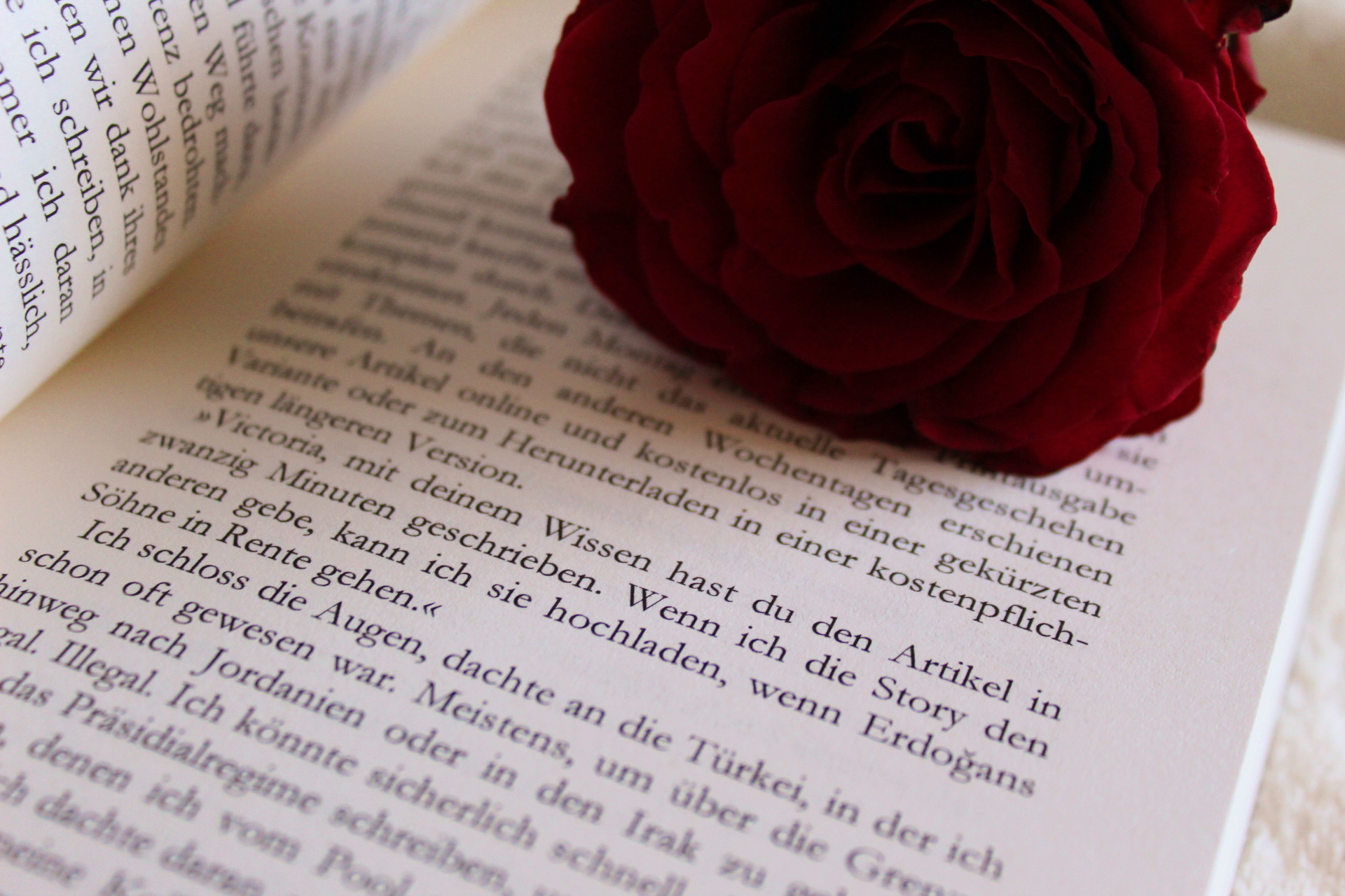 2019-02-16 11.12.05 1.jpg