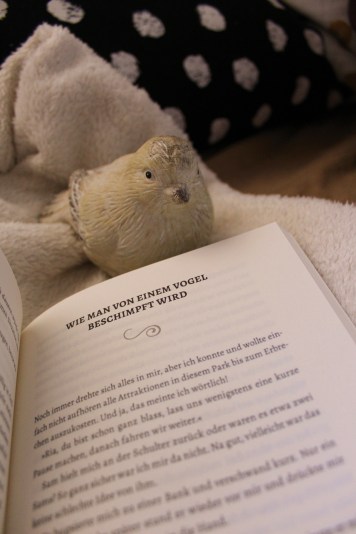 2019-02-24 10.47.04 1.jpg