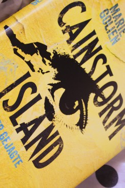 2019-02-28 11.19.14 1.jpg